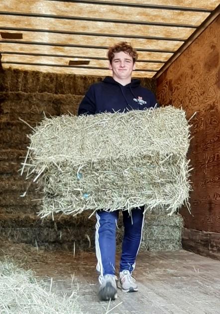 1st Cut Hay