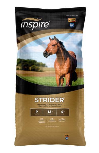 Blue Seal Inspire Strider