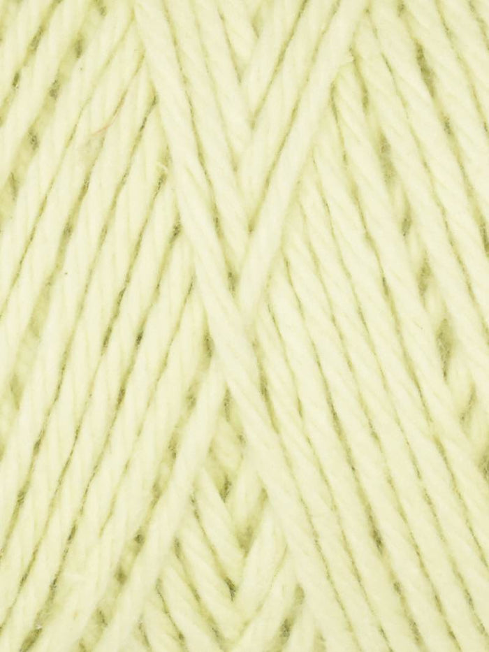 1013 Celadon