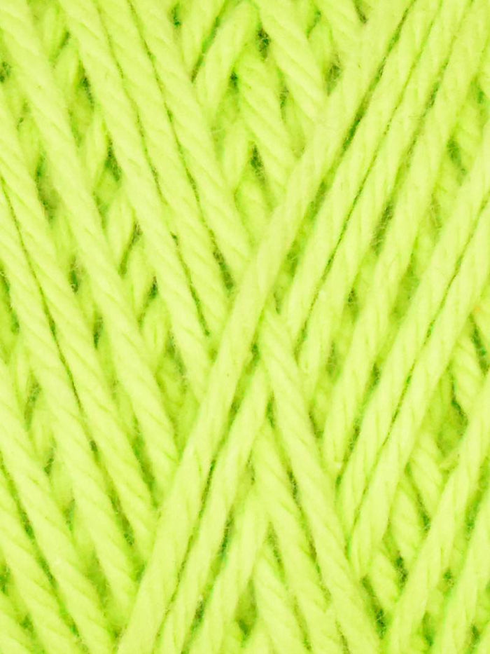 1021 Chlorophyll