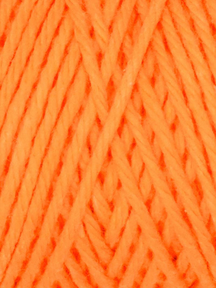 1023 Persimmon