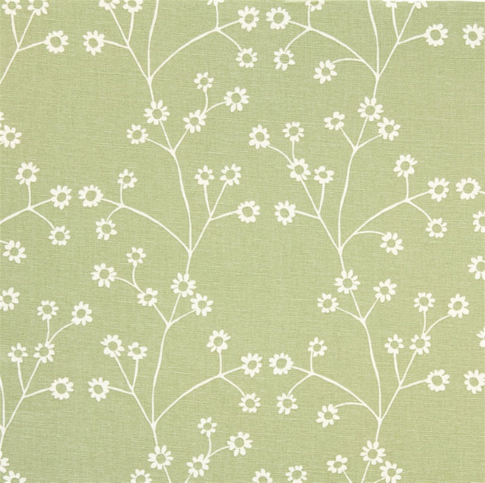 Dainty Daisy - Field Green