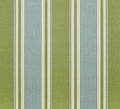 French Ticking - Moss, Cornflower
