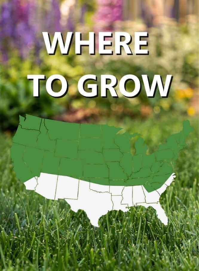 Jonathan Green Black Beauty® Shady Nooks Grass Seed