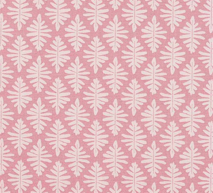 Little Fern - Lily Pink