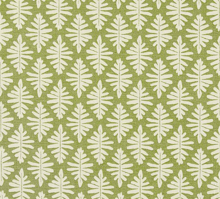 Little Fern - Moss