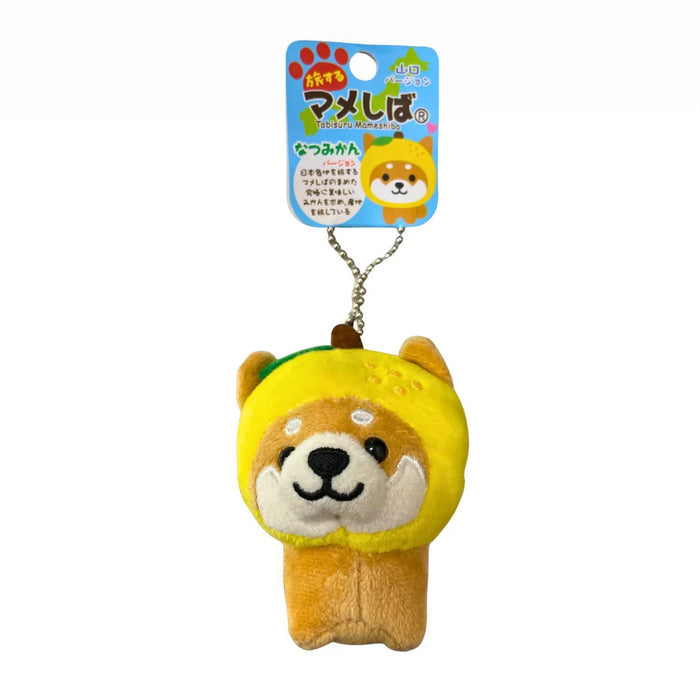 MAMESHIBA SUMMER ORANGE