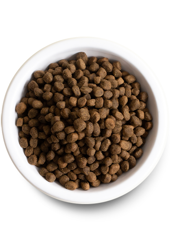 Open Farm Harvest Chicken & Ancient Grains Dry Dog Food
