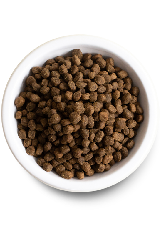 Open Farm Wild-Caught Salmon Grain-Free Dry Dog Food