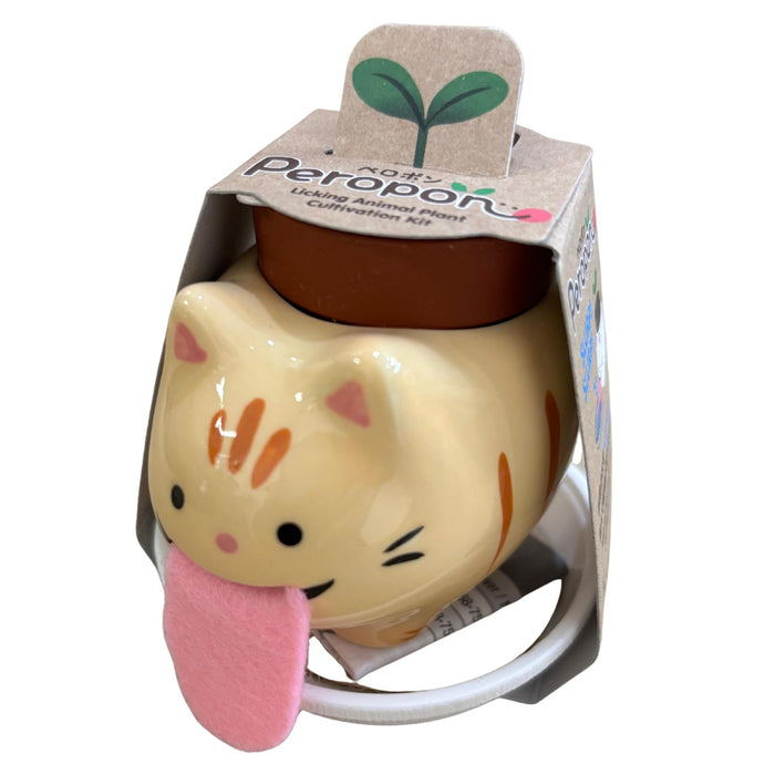 PEROPON TABBY CAT 1