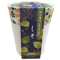 WAGOKORO YAKUMI SHISO