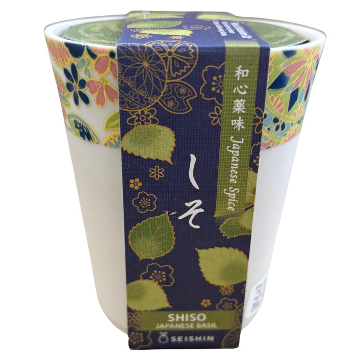 WAGOKORO YAKUMI SHISO
