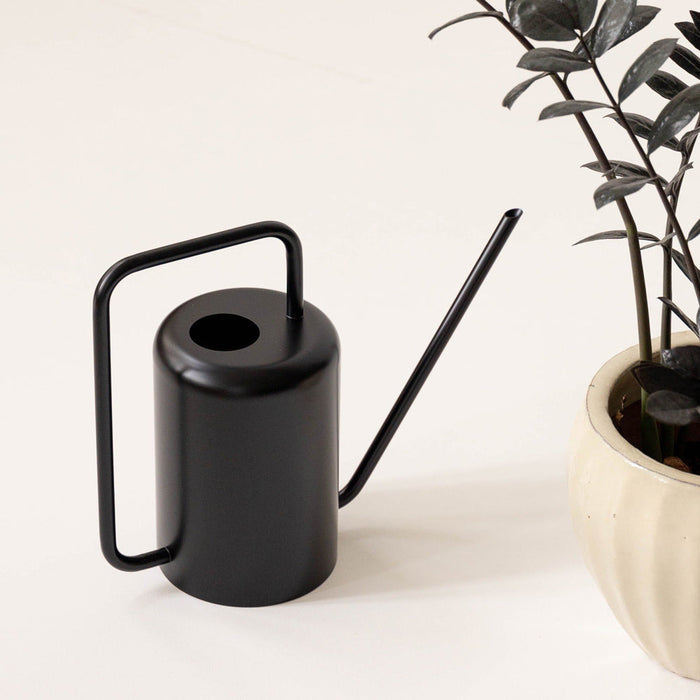 Watering Can