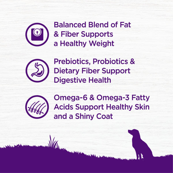 Wellness Complete Health Natural Healthy Weight Chicken and Peas Recipe Dry Dog Food